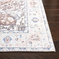 thumbnail image 5 of SAFAVIEH Arizona Robina Oriental Machine Washable Area Rug, Taupe/Beige, 2'3" x 4', 5 of 13