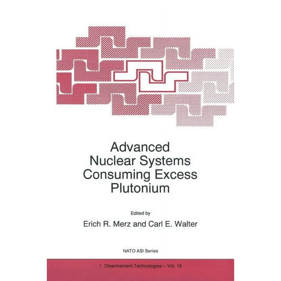 NATO Science Partnership Subseries: 1 Advanced Nuclear Systems Consuming Excess Plutonium, Book 15, (Paperback)