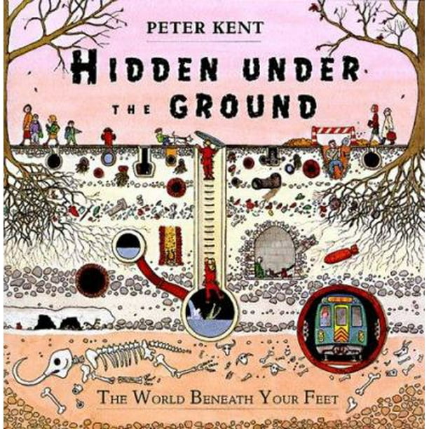 Hidden Under the Ground: The World Beneath Your Feet [Hardcover - Used