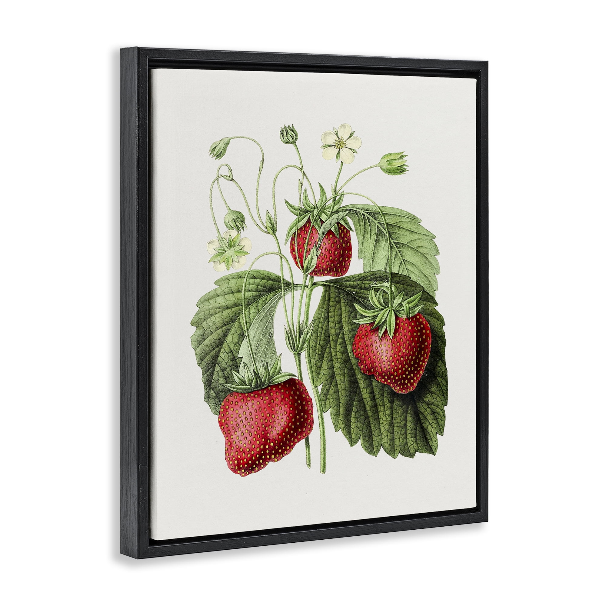 Stupell Industries Vintage Strawberries Study Food & Beverage Painting Black Floater Framed Art Print Wall Art, 17 x 21