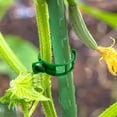 thumbnail image 3 of Support 100Pcs Reusable Garden For Climbing Adjustable Vine For Tomatoes Cucumbers Vines To Grow Garden Cl, 3 of 5