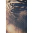thumbnail image 2 of Mossholder, Tim 11x14 Gold Ornate Wood Framed with Double Matting Museum Art Print Titled - Wall a Palm Shadow, 2 of 4