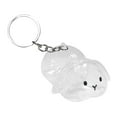 thumbnail image 3 of Botella para recoger pelo de mascota, caja de almacenamiento conmemorativa, recuerdo, regalo conmemorativo portátil con forma de conejo, llavero con conejo de orejas caídas, 3 of 10