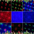 thumbnail image 3 of Proyector láser navideño, luces ENJOY PET, 3 colores RGB, 3 of 7