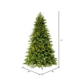 thumbnail image 5 of Vickerman 7.5' x 58" Jersey Fraser Fir Artificial Christmas Tree, Unlit, 5 of 5