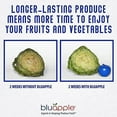 thumbnail image 3 of Bluapple Ethylene Gas Absorber Produce Saver Combo Pack Keeps Fruits & Veggies Fresh, 8 Packets and 2 Bluapples, 3 of 8