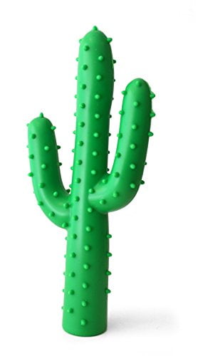 dog toy cactus with cactus inside