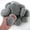 5 Pounds, 2-3 Inch, variant on 5 lbs Natural Mexican Beach Pebbles, 1-2 Inch Large River Rocks for Landscaping, Decorative Stones for Aquarium, Garden, Walkways, Backyard, Grey
