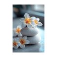 thumbnail image 5 of Mudket Framed,Canvas Wall Art,Ready to Hang,Plumeria Flower Stacked Stones Still Life Canvas Print,Botanical Wall Decor, Floral Artwork for Bathroom Bedroom Office Decor - 12"L x 8"W, 5 of 10