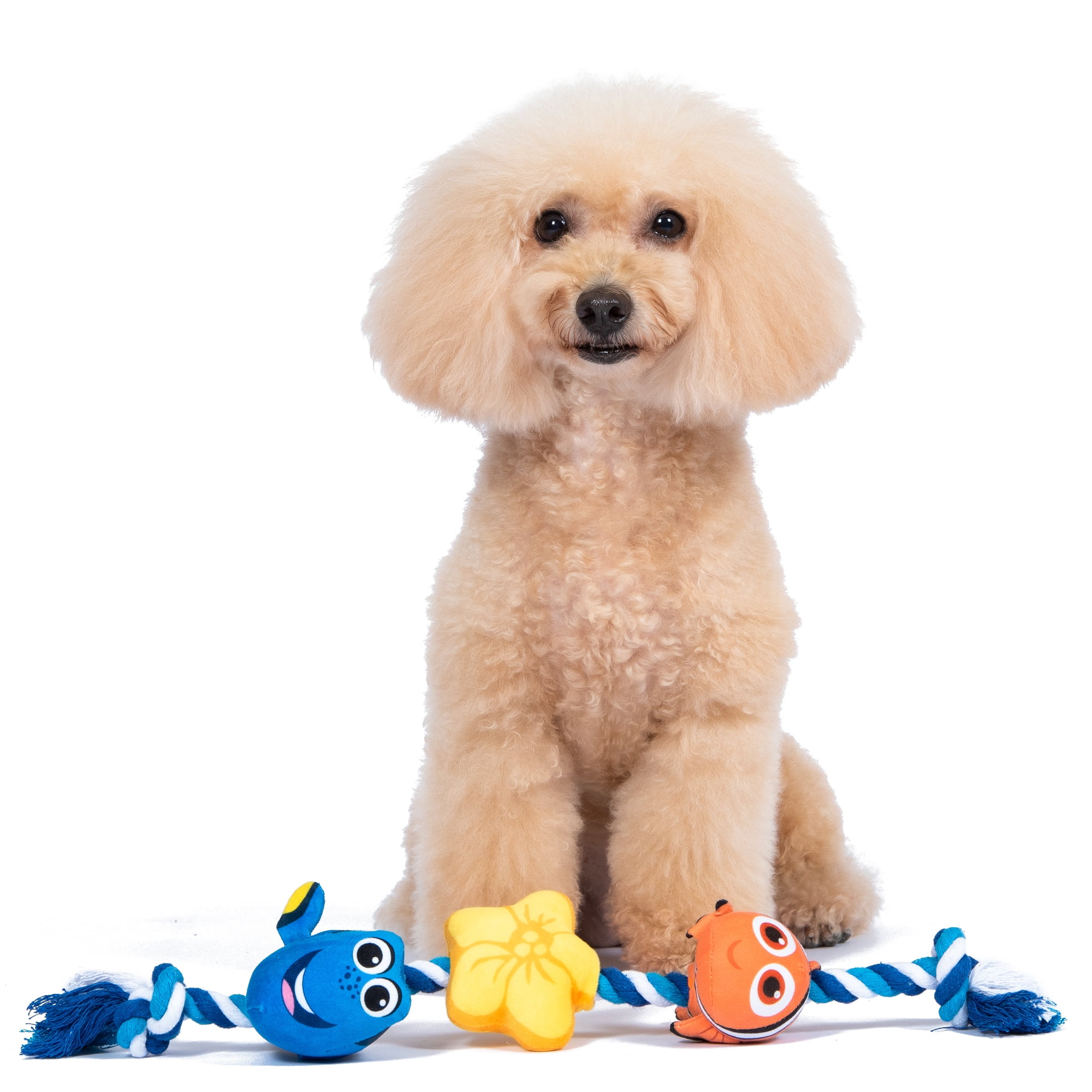 DISNEY FINDING NEMO: Nemo & Dory Plush Figure Braided Rope Squeaker Pet Toy