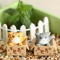 thumbnail image 4 of Lovely Box Cartoon Cat Miniature Landscape Decor Bonsai Resin Crafts Ornament, 4 of 7