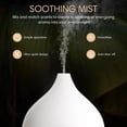 thumbnail image 3 of Difusor de aromaterapia SALKING, aceite esencial, 100 ml, con luces, 3 of 7