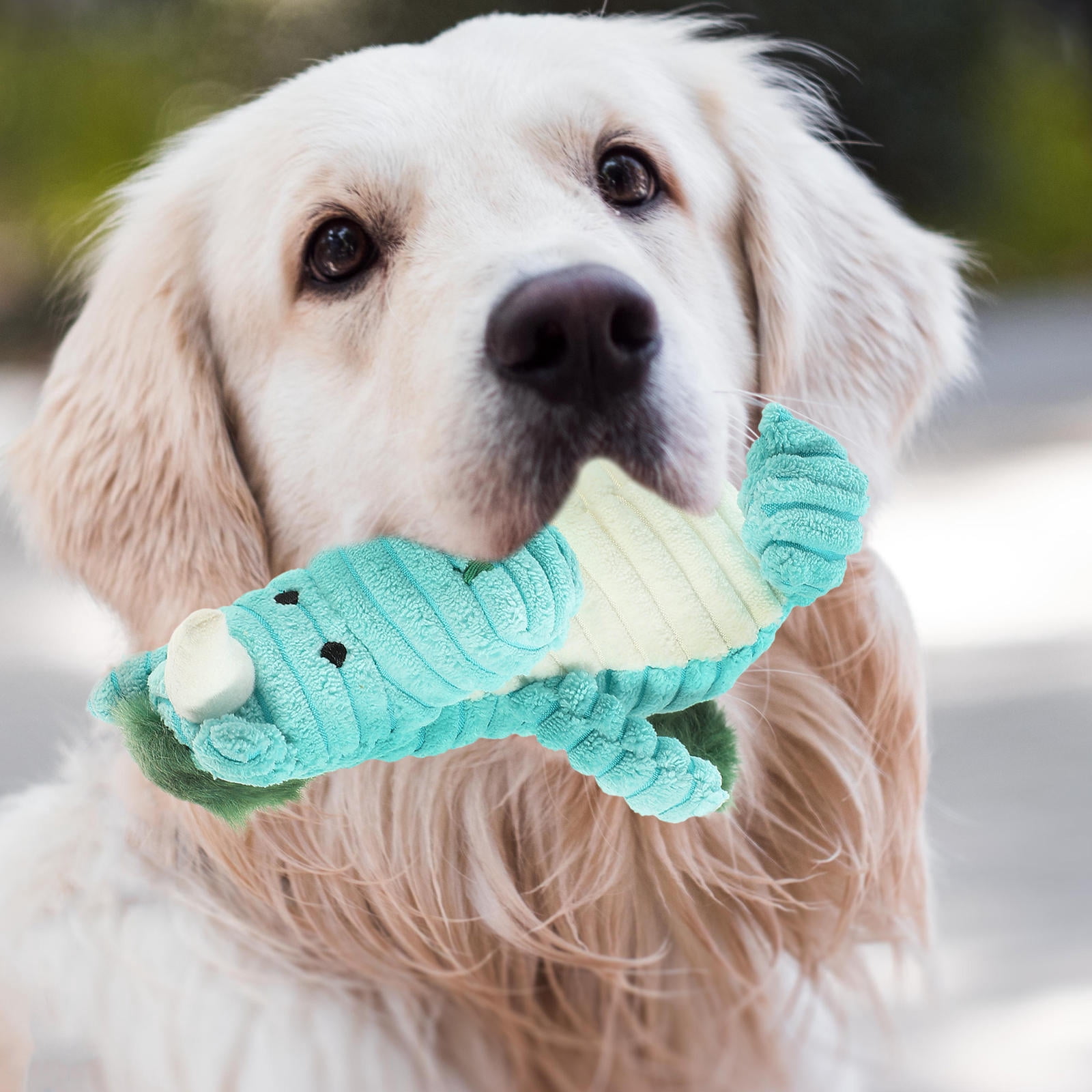 Tineasur Small Animal Toy Pet Interactive Plush Chew Toy Sky Blue 1 Set