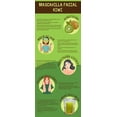 thumbnail image 5 of Mascarilla Hidroplástica Facial Kiwi 1kg Jelly Mask Gmask – Hidratación Intensa y Suavidad, 5 of 5