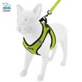 thumbnail image 6 of Voyager Step-in Air All Weather Mesh Harness and Reflective Dog 5 ft Leash Combo with Neoprene Handle, for Small, Medium and Large Breed Puppies - Lime/Black Trim, X-Large, 6 of 9