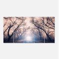 thumbnail image 2 of Mysterious Sunlight in Forest - Landscape Photo Canvas Art Print, 2 of 3