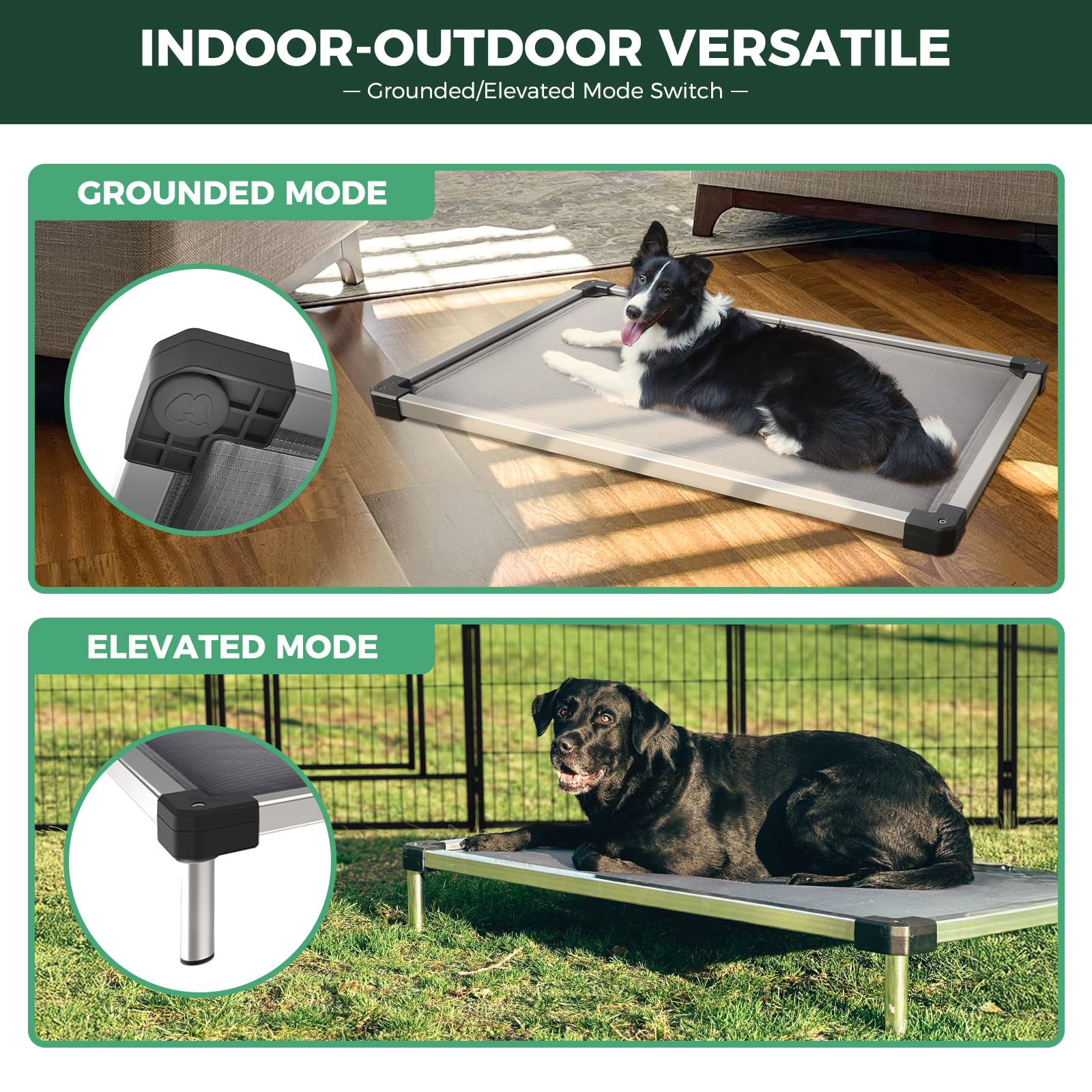FXW TitanNest Chew-Proof Elevated Dog Bed, Raised Cot for Indoor/Outdoor/Camping Use, Durable & Washable Padded Pet Bed for Extra-Small Dogs, 30.0" L x 22.0" W x 4.5" H, Gray