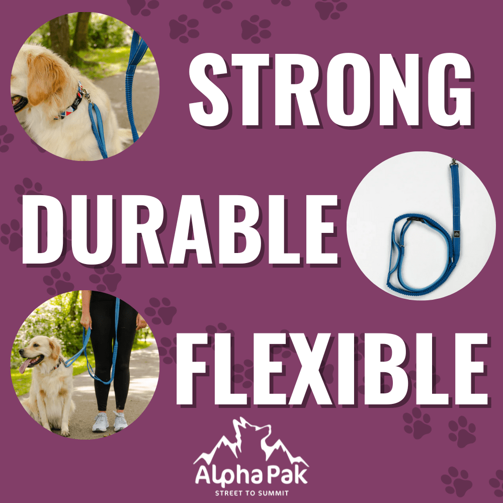 Alpha Pak | Cascades Stretchable Runner Dog Leash | Hands-Free | Reflective | Durable | 6-10 ft. Stretched | Metallic Blue