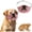 Color#3, variant on Realistic Latex Dog Face Mask for Small and Medium Pets, Funny Costume Muzzle Accessory