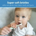 thumbnail image 3 of Dr. Brown's Infant-to-Toddler Toothbrush, Soft and Safe Baby Training Brush, Elephant, Mint, 0-3 years, 3 of 25