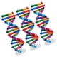 thumbnail image 4 of Modelo de ADN de 3 piezas: Kit de modelo de ADN de doble hélice DIY - Herramienta de aprendizaje de genes científicos para estudiantes - Juguete de estructura molecular para biología, 4 of 7
