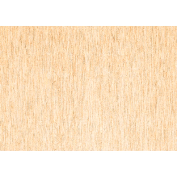 Ahgly Company Indoor Rectangle Solid Orange Modern Area Rugs, 2' x 4'