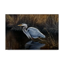 Trademark Fine Art 'Making Strides Great Blue Heron' Canvas Art by Wilhelm Goebel