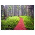 thumbnail image 2 of Desert Footpath to Misty Forest - Landscape Photography Canvas Print, 2 of 3