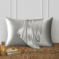 thumbnail image 2 of DISANGNI 100% Natural Mulberry Silk Pillow case for Hair and Skin with Hidden Zipper 22 Momme Both Sides Real Silk Pillow Case (1pc Standard Size 20" x26", Light Grey), 2 of 7