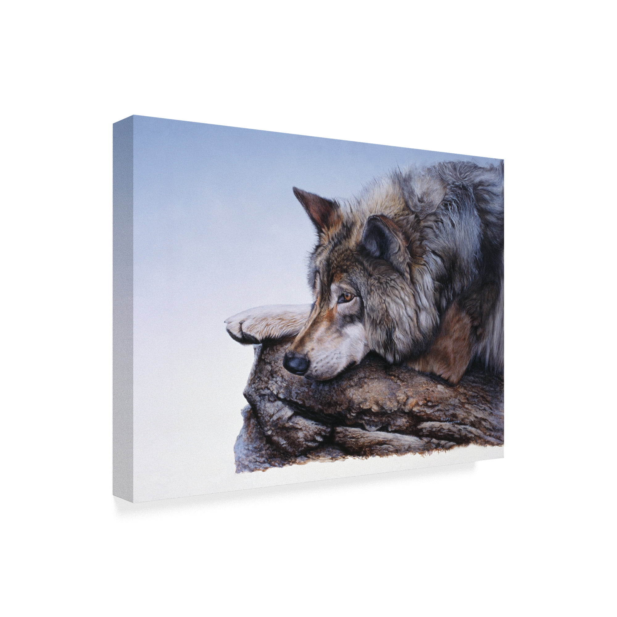 Trademark Fine Art 'On The Edge' Canvas Art by Rusty Frentner
