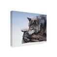 thumbnail image 2 of Trademark Fine Art 'On The Edge' Canvas Art by Rusty Frentner, 2 of 3