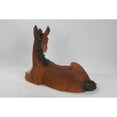 thumbnail image 2 of Hi-Line 12” Laying Down Horse Colt Garden Statue, Durable Polyresin, 2 of 7
