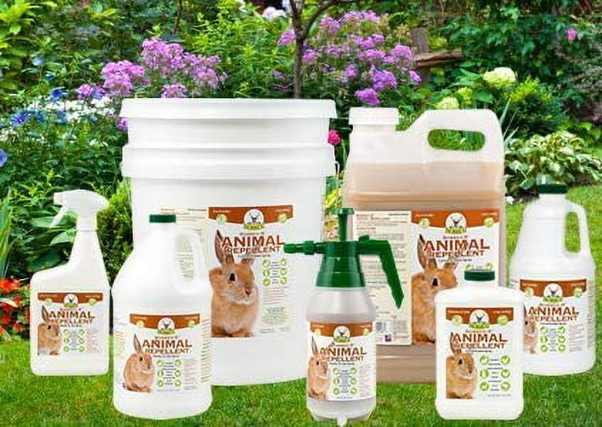 Bobbex-R B550130 Animal Repellant Concentrate .5 Gallon Bottle