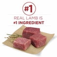 thumbnail image 5 of Purina ONE Dry Dog Food Lamb and Rice Formula - 8 lb. Bag (Pack of 10), 5 of 8