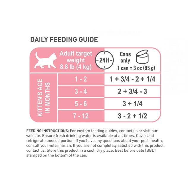 Royal Canin Kitten Cat Wet Food in jelly 12x85g