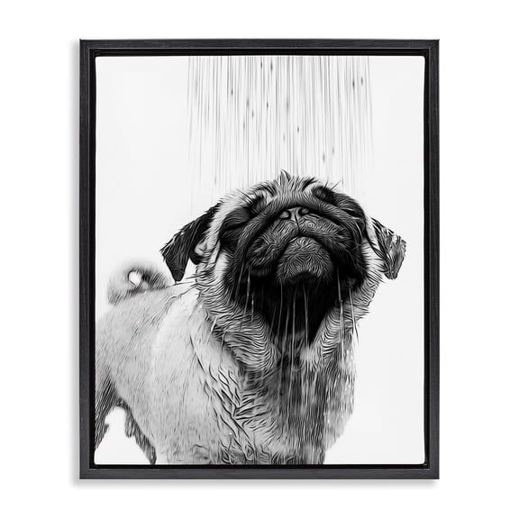 Stupell Industries Pug Bathroom Splash Animals & Insects Painting Black Floater Framed Canvas Art Print Wall Art, 17 x 21
