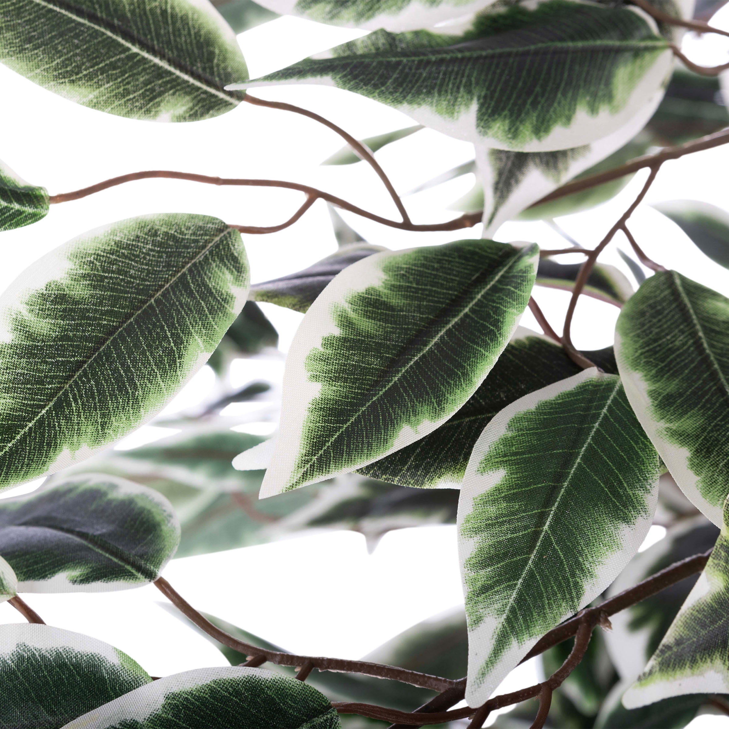 Pure Garden Ficus Artificial Tree - Realistic Faux Plant with Variegated Leaves and Natural Trunk - 5-Foot-Tall Topiary Decor for Indoor or Outdoor Use