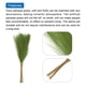 thumbnail image 4 of Uxcell 15Pcs  Pampas Grass,21" Fake Pampas Grass for Wedding Decoration,Grass green, 4 of 7