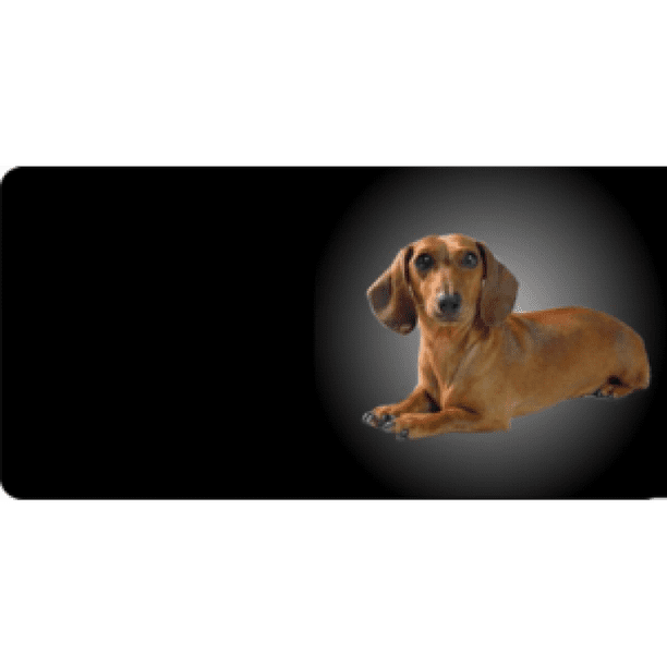 Dachshund license outlet plate