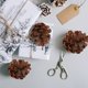 thumbnail image 2 of 30pcs imitación plástica de pino cono de navidad de otoño de pino cono de decoración de cono, 2 of 5
