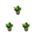 thumbnail image 3 of Decodeary Green Eco-friendly Artificial Money Tree In Pot Long-lasting Durability Realistic Appearance new blue babysbreath 3Set, 3 of 6