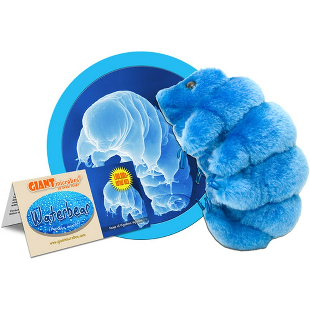 giant microbes tardigrade