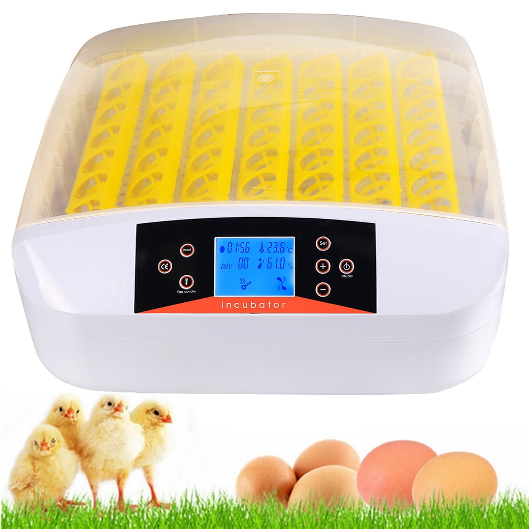 Intelligent Automatic Digital Hatching 56 Eggs Incubator ...