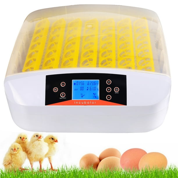 Egg incubator walmart