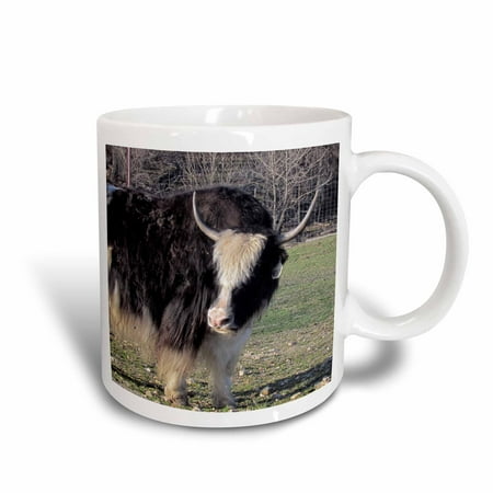 

3dRose Scottish Highland Cow 2 - Ceramic Mug 15-ounce