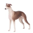 thumbnail image 3 of Greyhound Dog Model, Greyhound Toy Model Lifelike  Children's Early Education Toys Interesting Textures  For Living Room, 3 of 8