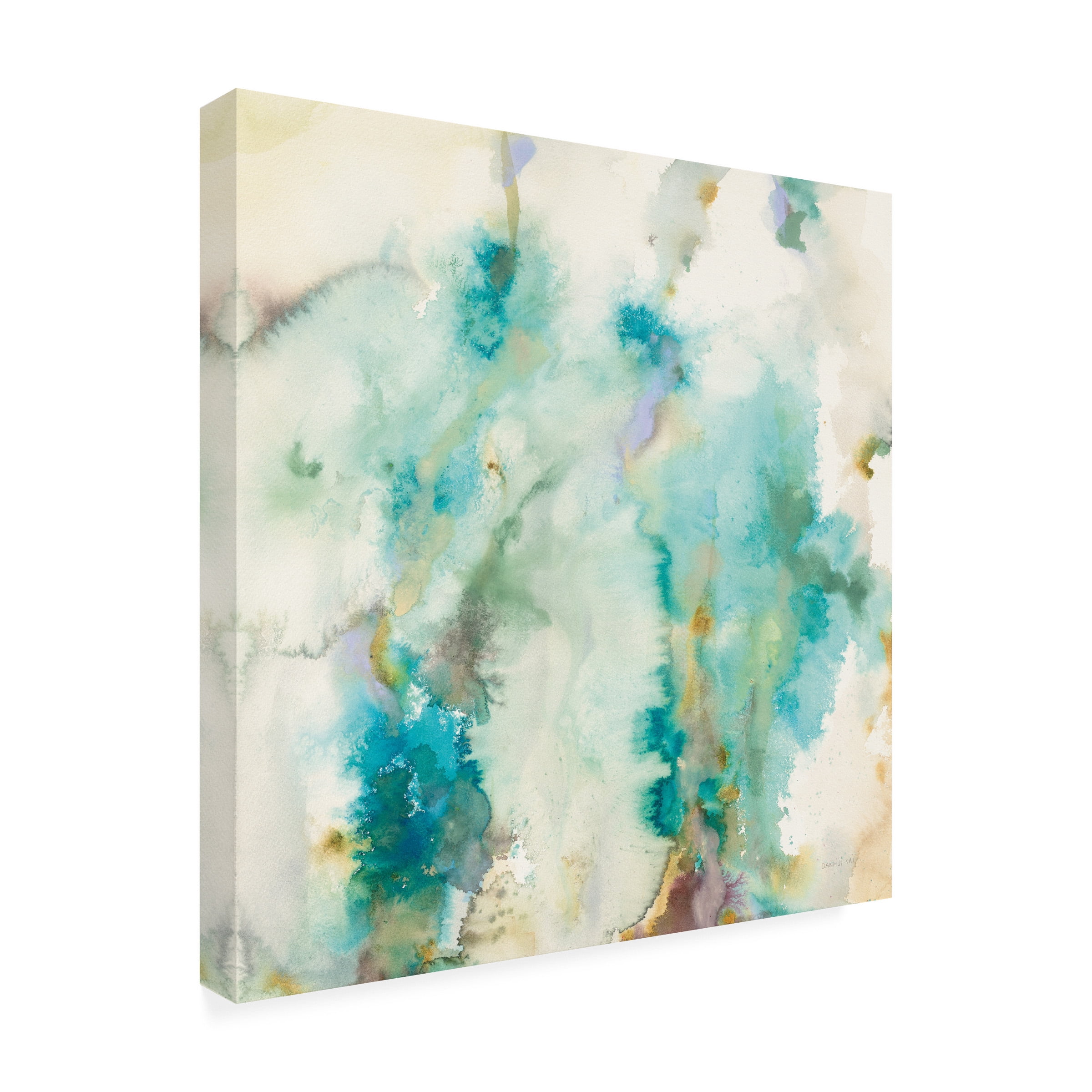Trademark Fine Art 'Jaipur XII' Canvas Art by Danhui Nai