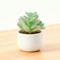 thumbnail image 4 of Arreglo de plantas suculentas artificiales realistas para el escritorio del hogar Suculentas realistas en una decoración moderna, 4 of 6