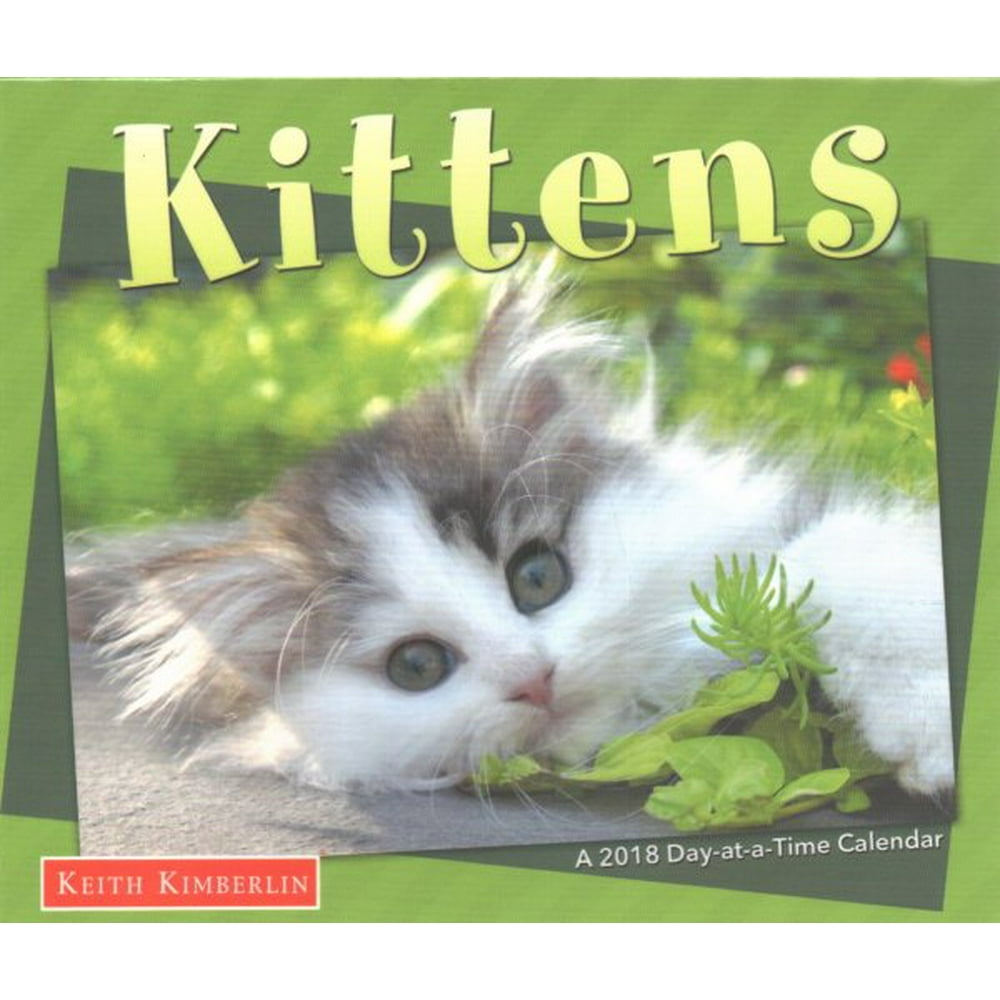 Keith Kimberlin Kittens 2018 Day at a Time Box Calendar - Walmart.com