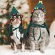 thumbnail image 3 of Disfraz De Gato Navideño, Ropa Navideña para Perros, Mantón Navideño para Perros Y Gatos, Disfraz Navideño para Cachorros, Ropa Navideña para Mascotas Árbol De Navidad,S JM, 3 of 5